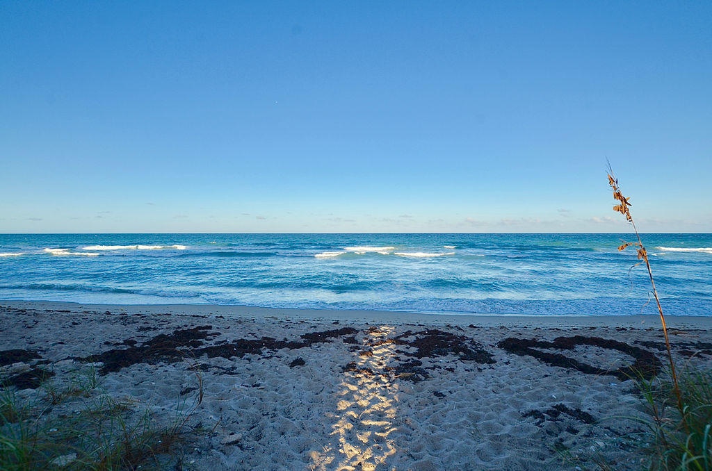 美國pompano beach公寓 1臥1衛