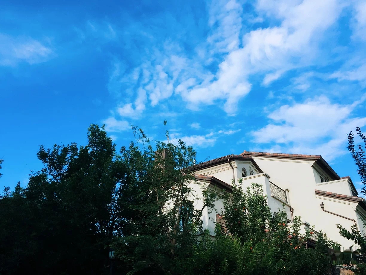 棕榈滩二期独栋,边户大花园!首付1200万!急售,随时看