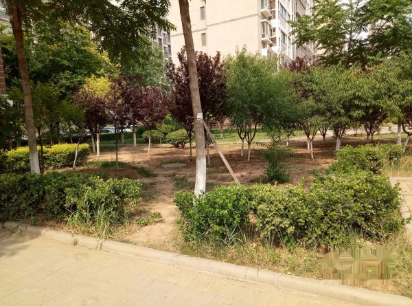 福源花园12楼 91平112万 通厅落地窗 看房方便