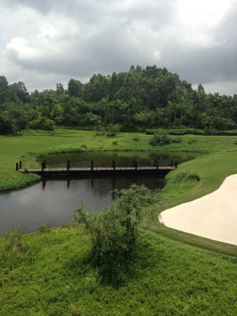 观澜湖80平米公寓 一线看张连伟球场 300万满两年红本