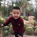 步红娟