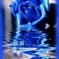 云淡风轻102