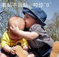 筑巢的小鸟