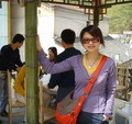红尾狐狸