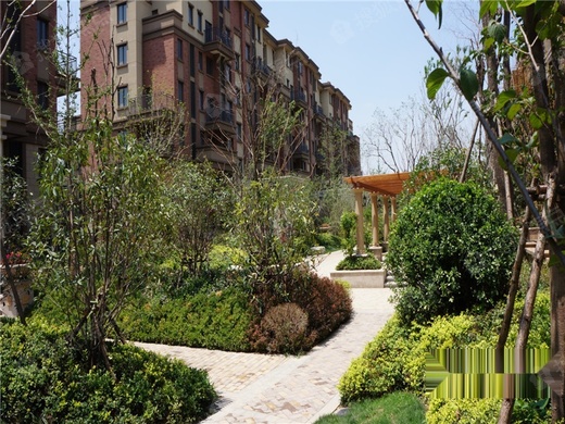 吉信·御翠园_安阳吉信·御翠园详情-安阳搜狐焦点网