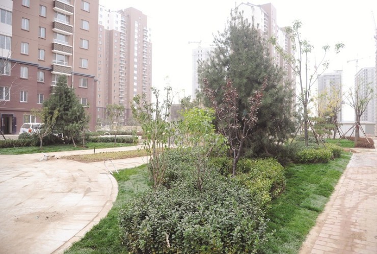 9亿元,项目占地577亩,规划建筑面积约117万平方米,天泽龙城苑(民政园)