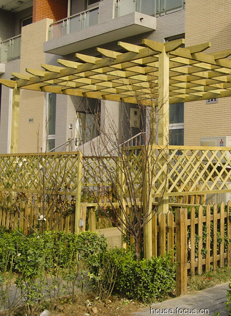 请邻居们支招想把自家院子绿化美化一下既省钱又漂亮谢谢邻居们了