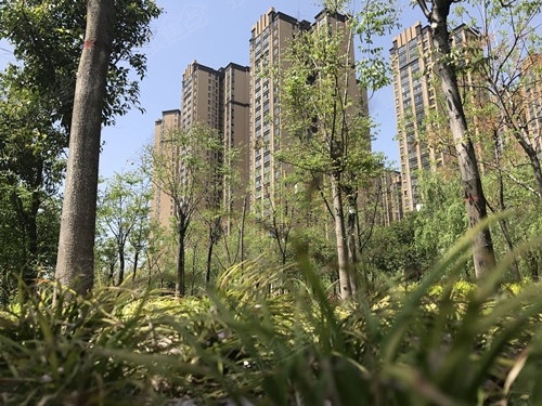 中房美域熙湖邀你去过世界上最浪漫的节日之一-咸阳搜狐焦点