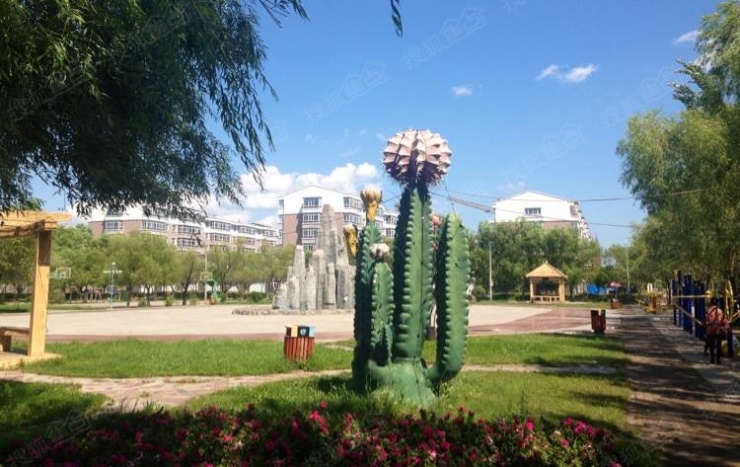 齐齐哈尔市依安农场