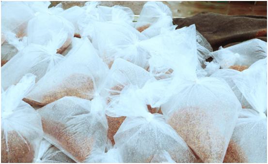 葡萄岛助力秦皇岛海域生态修复200万只蟹苗投向渤海