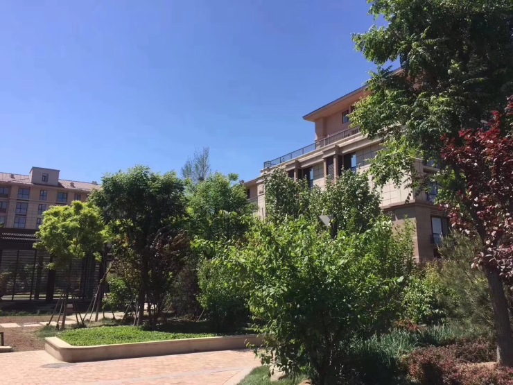 朝阳北路边上,与温榆河一路之隔 建在公园里的房子