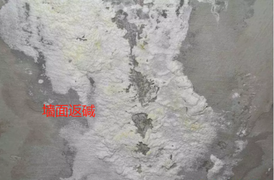 怎么快速长出霉菌 d01b67a7-4e4b-4bc1-a53b-e5102486e6c2.png