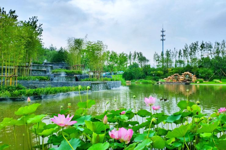 2020热点新闻首页:吴江碧桂园湖悦天境售楼处电话—图文解析
