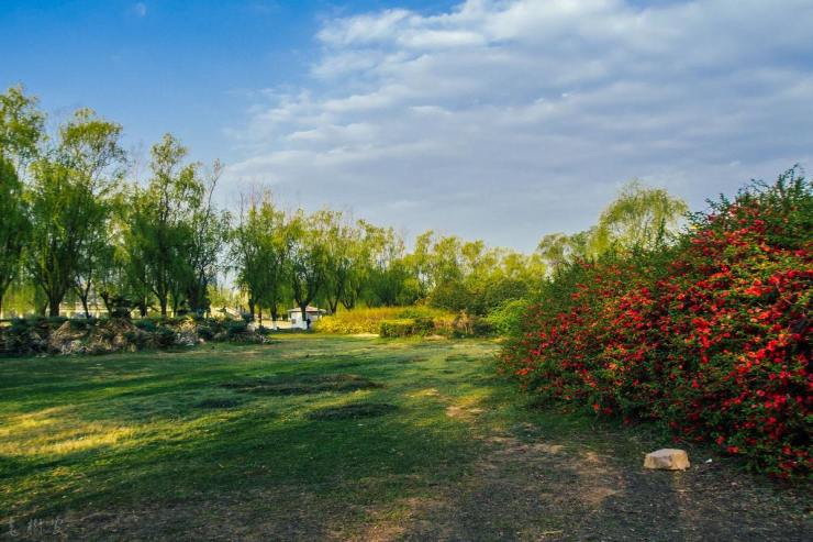 田园·清水湾:乍见心欢,久处仍怦然-长治搜狐焦点