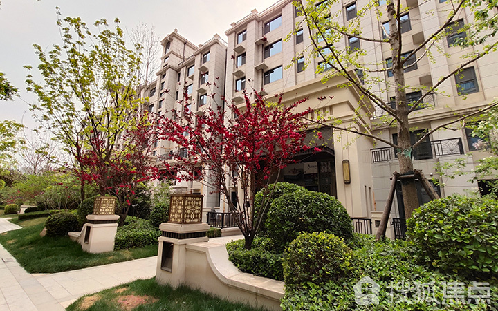 帝王国际万悦府小区实景照片