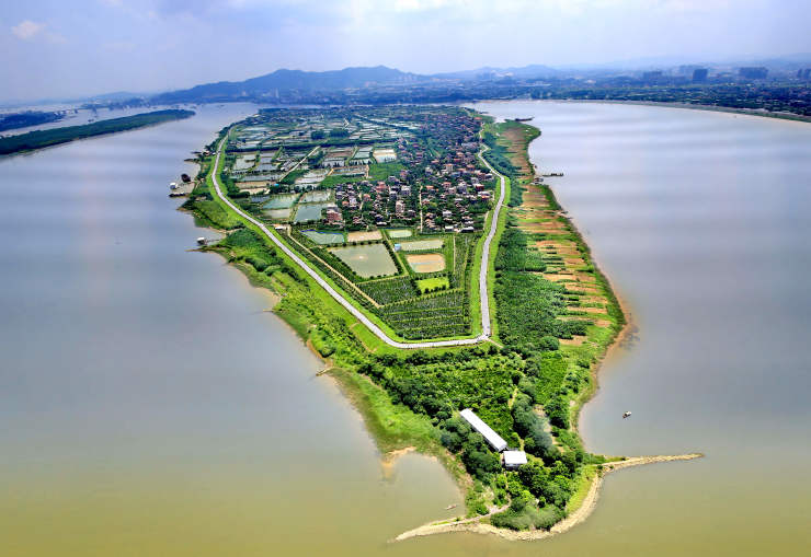 一面是江门鹤山沙坪镇,海寿岛属于南海九江镇,坐拥西江水道之环抱,聚