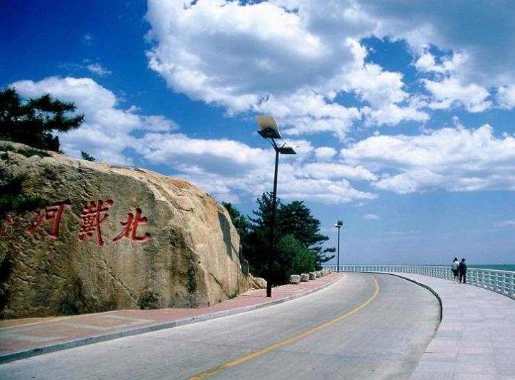 老头上树比猴儿快北戴河四怪有蹊跷