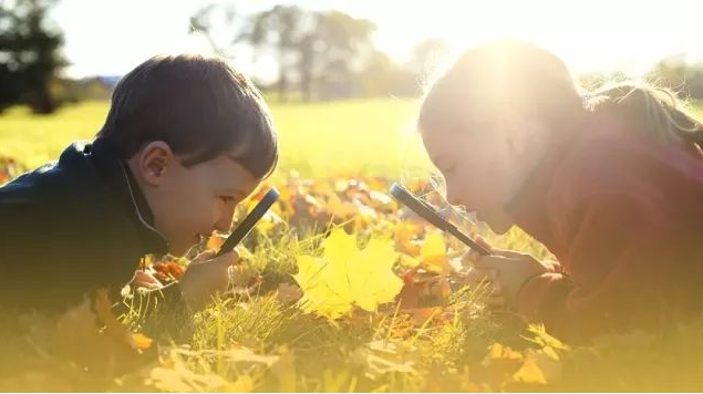 梦回童真，近半年来对孩子的深情依恋——一场关于爱与成长的梦境解析