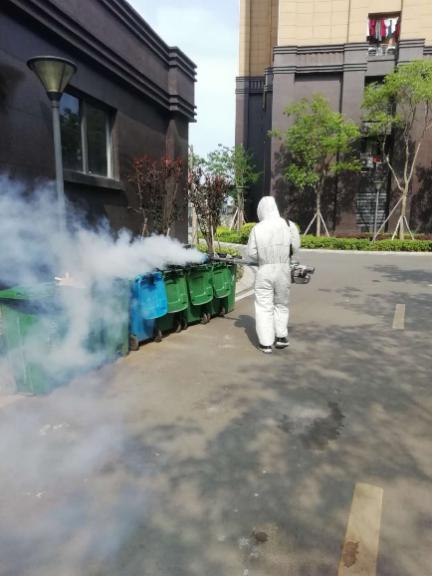 点击查看大图