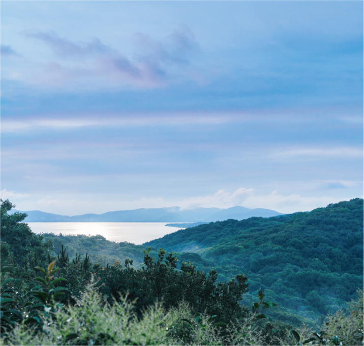 林山融远日,水天合一色丨山居的小私邸,度假的大场面