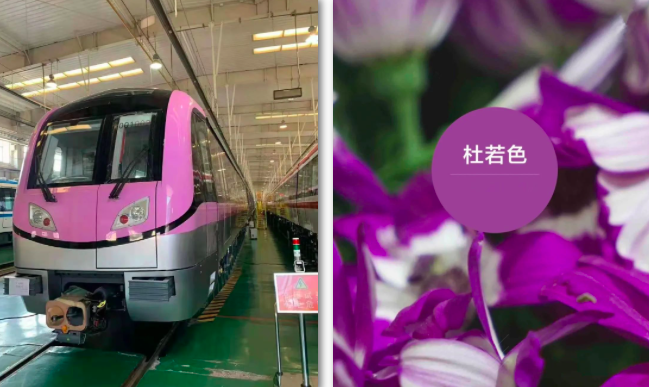 颜色为美丽的杜若色,杜若色是像鸢尾花一样,带有很强的红色调的紫色