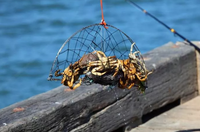 国庆惊喜蟹逅中冶39大街欢乐钓螃蟹好礼享不停