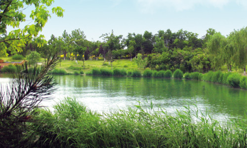 中国铁建·花语金郡 墅境大宅启幕顶层人居生