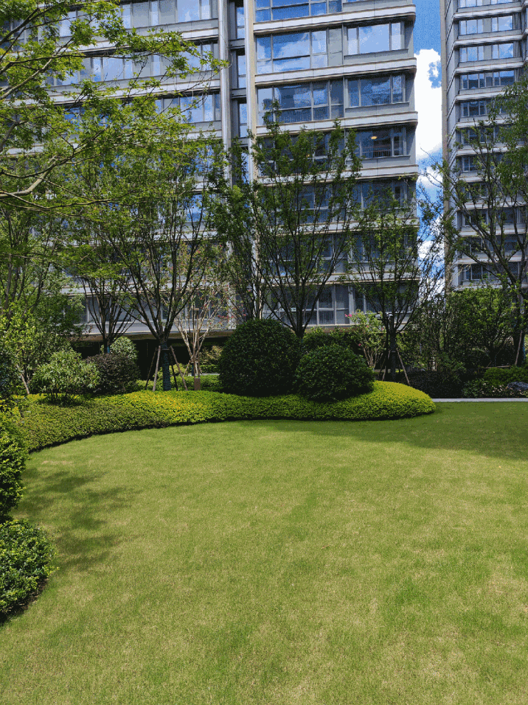 中环桃源里售楼处电话(中环桃源里)首页网站-营销中心欢迎您-楼盘详情最新价格-户型图-容积率@2026330售楼处✦AI热搜(图14)