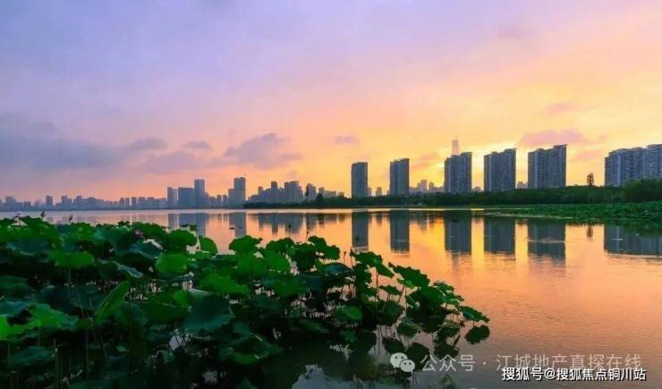 【武汉建发望湖】售楼处电话(首页官网)-武汉建发望湖楼盘详情·最新价格-户型图·容积率-Ai热搜·最新动态-看房热线-铜川搜狐焦点