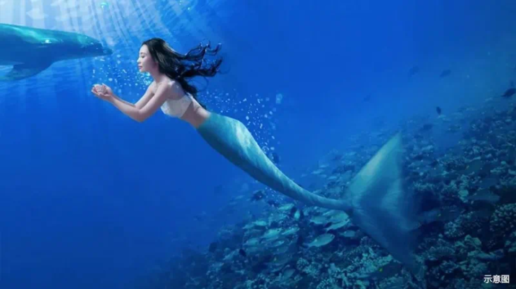跟随着美人鱼的曼妙身姿深潜海底,童话里的美人鱼也游到了现实,海的