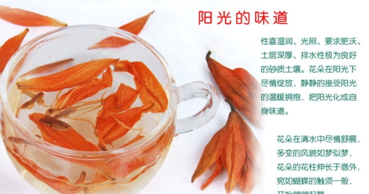 百合花茶的功效与作用