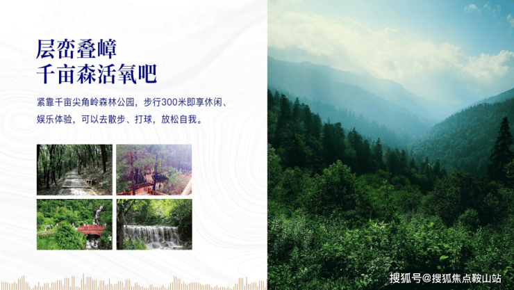 https://t1.focus-img.cn/sh740wsh/zx/duplication/1ca20712-279c-4035-aed4-2e07cb2b7f56.png