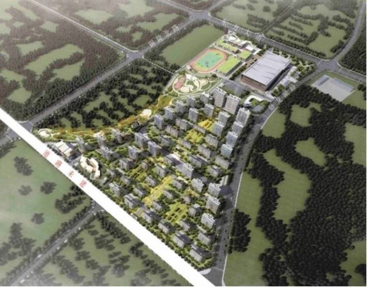 合肥新站区新房官方售楼处发布：王炸出场引爆楼市(图3)