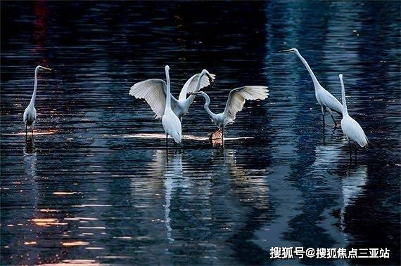 550米,【丰兴隆公园】步行距离约600米,【白鹭公园】步行距离约800米