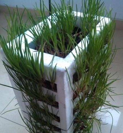 第三款:世上最便宜的立体种植箱