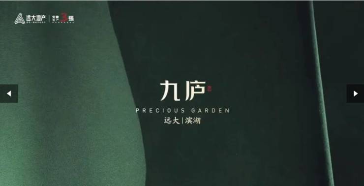 滨湖区远大九庐项目户型设计：革新空间重塑改善生活标准(图5)