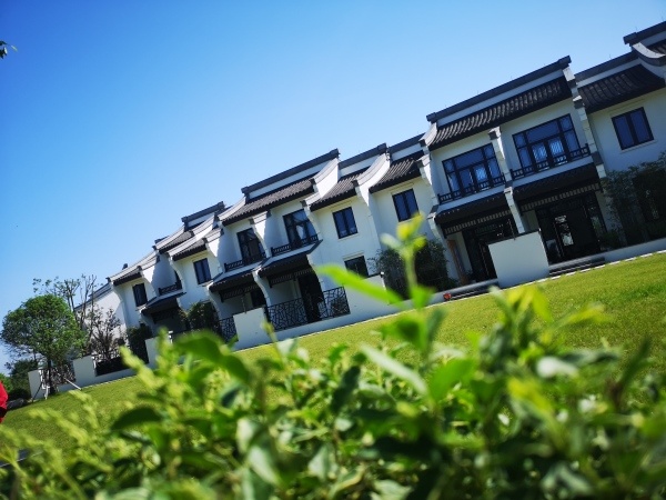 首页-桐乡绿城乌镇兰园售楼处电话多少?位置好不好【官】