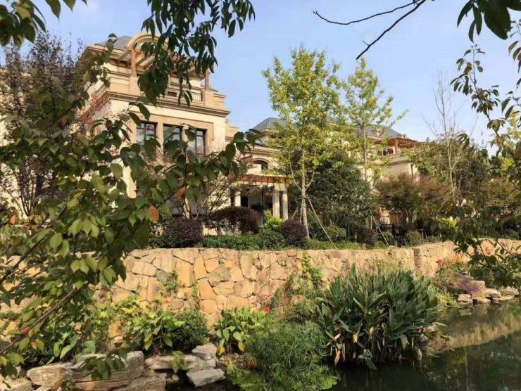 保利虹桥和颂预约热线:400-8080-42078青浦徐泾,大虹桥传统别墅区新