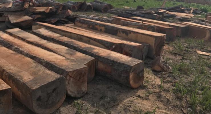 大自然地板:野生原木西非苏木,带给你野性的力量