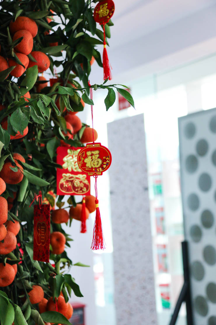 醒狮启市 鸿运当头,唐姆龙年开工大吉,焕发新春活力