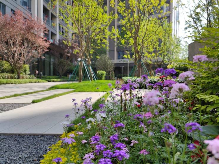 特价房【滨江樾城】售楼处电话_在售房源_最新动态_购房优惠-成都搜狐