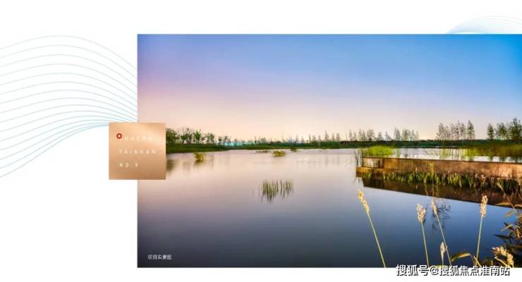 鲁能泰山九号首页网站鲁能泰山九号楼盘详情鲁能泰山九号容积率小区