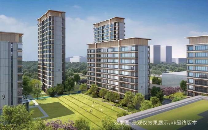 合肥新站区新房官方售楼处发布：王炸出场引爆楼市(图4)