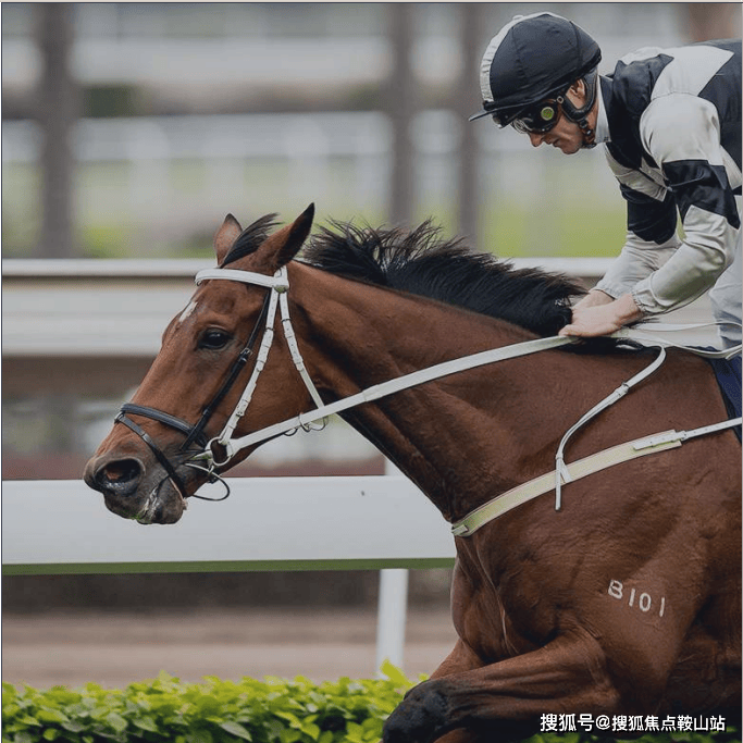 杏彩体育网页广州从化云谷售楼处电话售楼中心首页网站楼盘百科详
