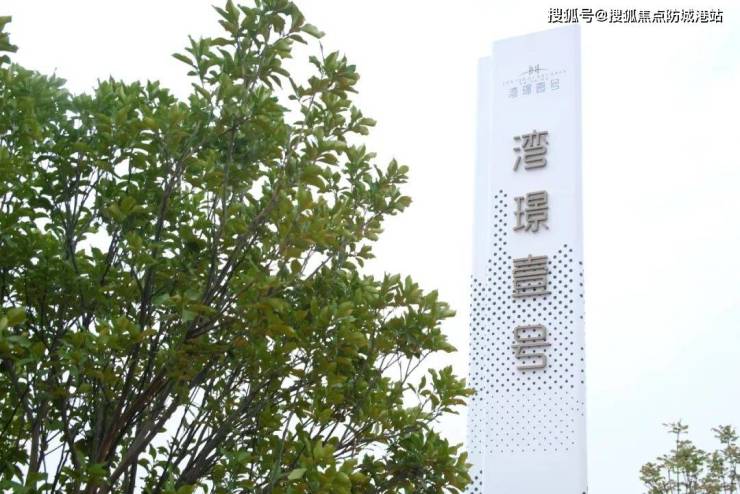 中建弘阳德信湾璟壹号广州南沙中建湾璟壹号首页网站丨楼盘详情户型