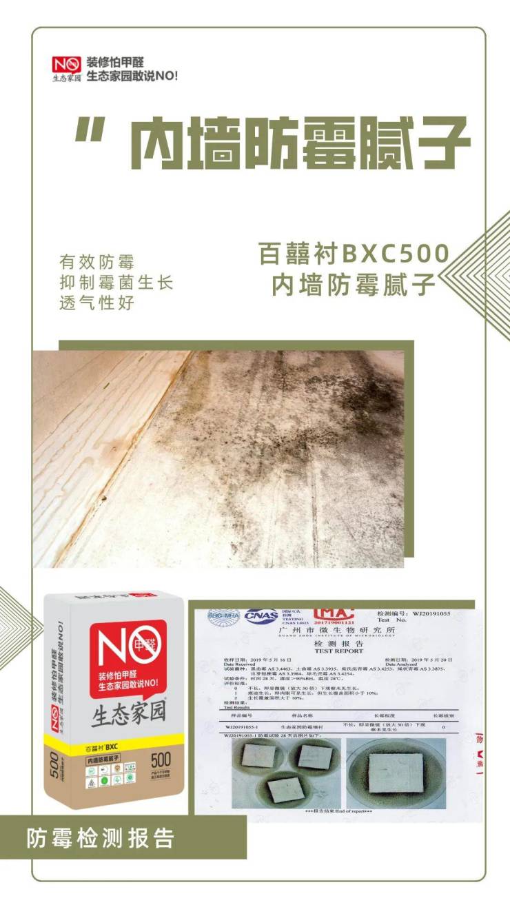 墙面霉菌的天敌——内墙防霉腻子,让家更健康!