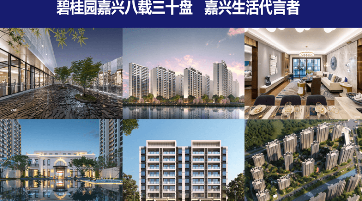 首页平湖碧桂园星悦里售楼处直销网站ai看房线上顾问实时解答楼盘详情