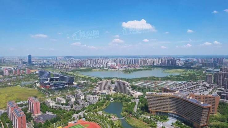 合肥高新区新华城国际公寓好不好