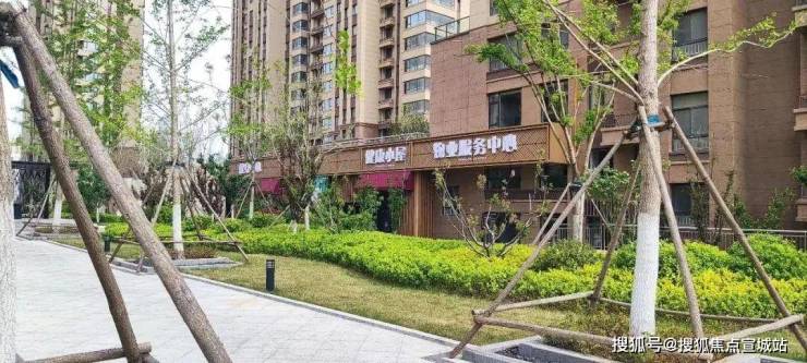 威海新房楼盘趋势洞察