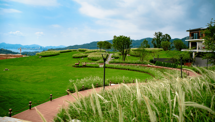 小镇中心效果图户外拓展区——自然体验与野外拓展的天堂自然教育园区